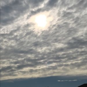 Meet your Posher, Martha